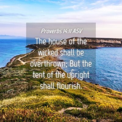 Picture 04 - Proverbs 14:11 ASV - The house of the wicked shall be overthrown; But - Bible Verse Picture