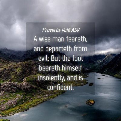 Picture 04 - Proverbs 14:16 ASV - A wise man feareth, and departeth from evil; But - Bible Verse Picture
