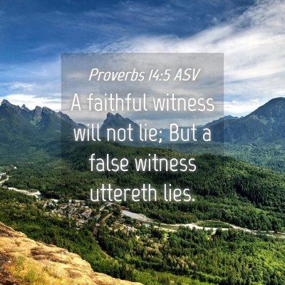 Picture 04 - Proverbs 14:5 ASV - A faithful witness will not lie; But a false - Bible Verse Picture