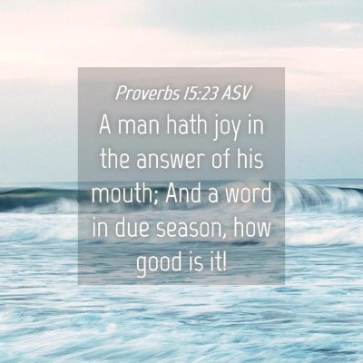 Picture 04 - Proverbs 15:23 ASV - A man hath joy in the answer of his mouth; And a - Bible Verse Picture