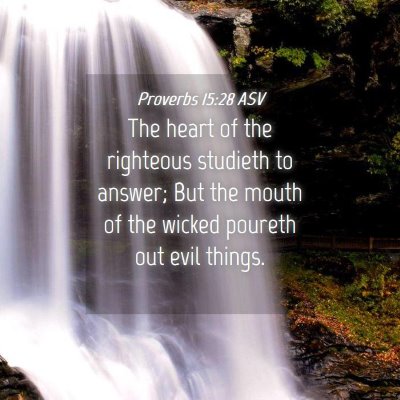 Picture 04 - Proverbs 15:28 ASV - The heart of the righteous studieth to answer; - Bible Verse Picture