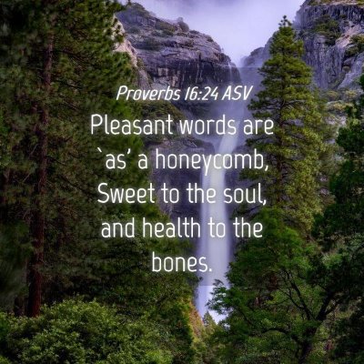 Picture 04 - Proverbs 16:24 ASV - Pleasant words are `as' a honeycomb, Sweet to the - Bible Verse Picture