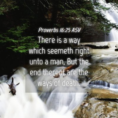 Picture 04 - Proverbs 16:25 ASV - There is a way which seemeth right unto a man, - Bible Verse Picture