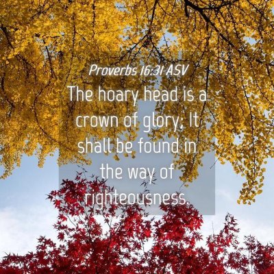 Picture 04 - Proverbs 16:31 ASV - The hoary head is a crown of glory; It shall be - Bible Verse Picture