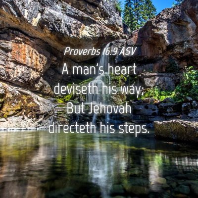 Picture 04 - Proverbs 16:9 ASV - A man's heart deviseth his way; But Jehovah - Bible Verse Picture