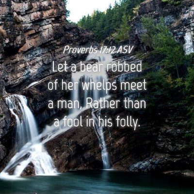 Picture 04 - Proverbs 17:12 ASV - Let a bear robbed of her whelps meet a man, - Bible Verse Picture