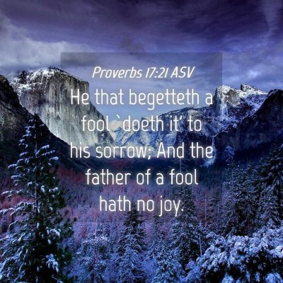 Picture 04 - Proverbs 17:21 ASV - He that begetteth a fool `doeth it' to his - Bible Verse Picture