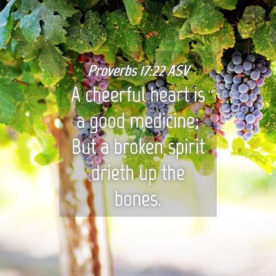 Picture 04 - Proverbs 17:22 ASV - A cheerful heart is a good medicine; But a broken - Bible Verse Picture