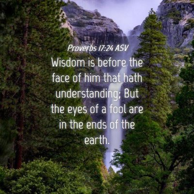 Picture 04 - Proverbs 17:24 ASV - Wisdom is before the face of him that hath - Bible Verse Picture