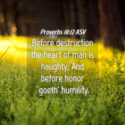 Picture 04 - Proverbs 18:12 ASV - Before destruction the heart of man is haughty; - Bible Verse Picture
