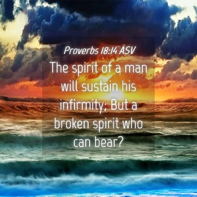 Picture 04 - Proverbs 18:14 ASV - The spirit of a man will sustain his infirmity; - Bible Verse Picture