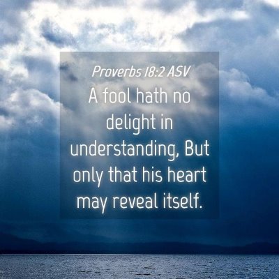 Picture 04 - Proverbs 18:2 ASV - A fool hath no delight in understanding, But only - Bible Verse Picture
