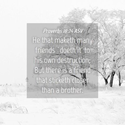 Picture 04 - Proverbs 18:24 ASV - He that maketh many friends `doeth it' to his own - Bible Verse Picture