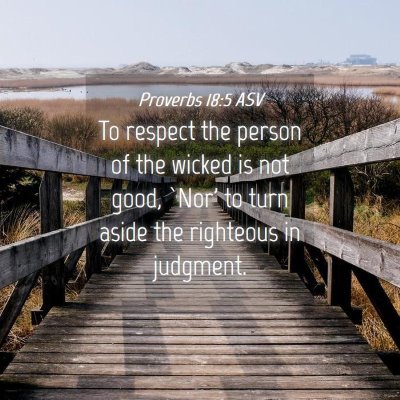 Picture 04 - Proverbs 18:5 ASV - To respect the person of the wicked is not good, - Bible Verse Picture
