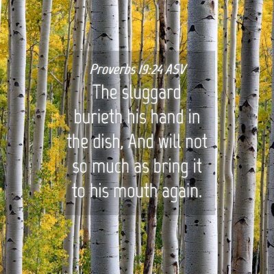 Picture 04 - Proverbs 19:24 ASV - The sluggard burieth his hand in the dish, And - Bible Verse Picture