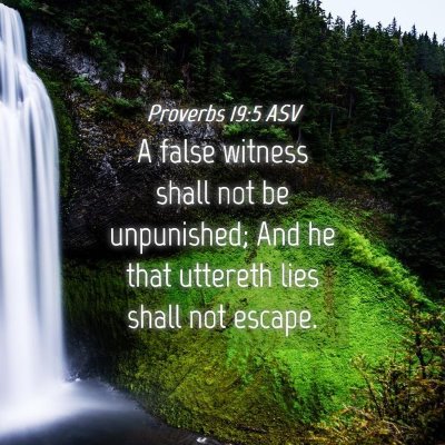 Picture 04 - Proverbs 19:5 ASV - A false witness shall not be unpunished; And he - Bible Verse Picture