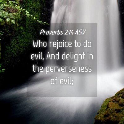 Picture 04 - Proverbs 2:14 ASV - Who rejoice to do evil, And delight in the - Bible Verse Picture