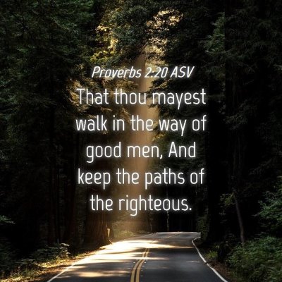 Picture 04 - Proverbs 2:20 ASV - That thou mayest walk in the way of good men, And - Bible Verse Picture