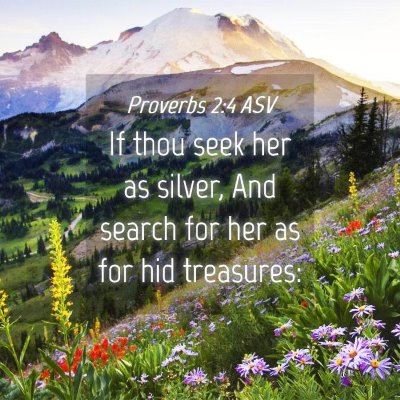 Picture 04 - Proverbs 2:4 ASV - If thou seek her as silver, And search for her as - Bible Verse Picture
