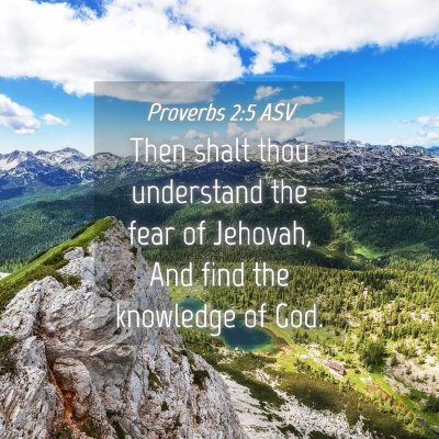 Picture 04 - Proverbs 2:5 ASV - Then shalt thou understand the fear of Jehovah, - Bible Verse Picture