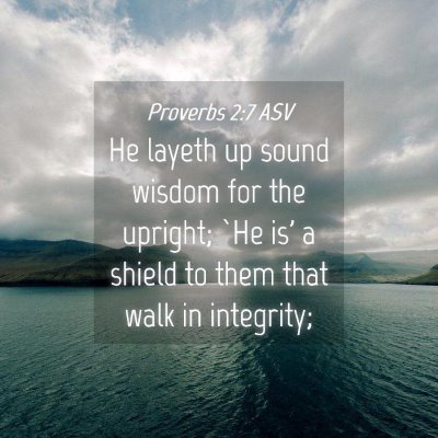 Picture 04 - Proverbs 2:7 ASV - He layeth up sound wisdom for the upright; `He - Bible Verse Picture