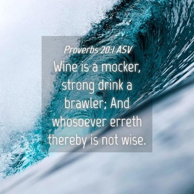 Picture 04 - Proverbs 20:1 ASV - Wine is a mocker, strong drink a brawler; And - Bible Verse Picture