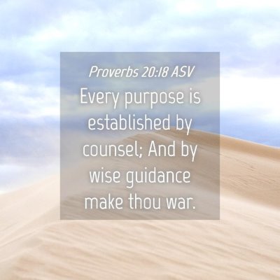 Picture 04 - Proverbs 20:18 ASV - Every purpose is established by counsel; And by - Bible Verse Picture