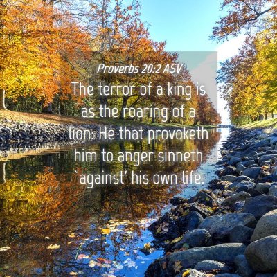 Picture 04 - Proverbs 20:2 ASV - The terror of a king is as the roaring of a lion: - Bible Verse Picture