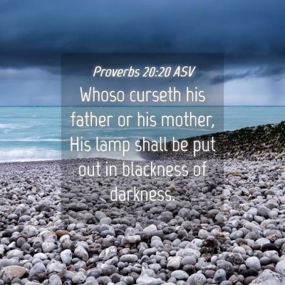 Picture 04 - Proverbs 20:20 ASV - Whoso curseth his father or his mother, His lamp - Bible Verse Picture