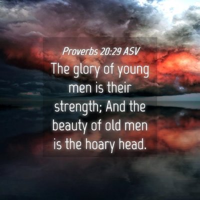 Picture 04 - Proverbs 20:29 ASV - The glory of young men is their strength; And the - Bible Verse Picture