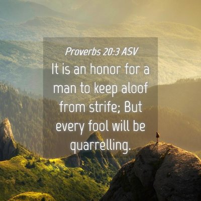 Picture 04 - Proverbs 20:3 ASV - It is an honor for a man to keep aloof from - Bible Verse Picture