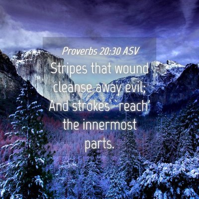 Picture 04 - Proverbs 20:30 ASV - Stripes that wound cleanse away evil; And strokes - Bible Verse Picture