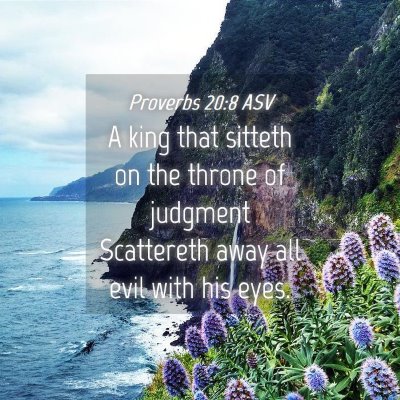 Picture 04 - Proverbs 20:8 ASV - A king that sitteth on the throne of judgment - Bible Verse Picture