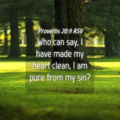 Picture 04 - Proverbs 20:9 ASV - Who can say, I have made my heart clean, I am - Bible Verse Picture