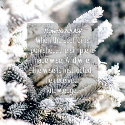 Picture 04 - Proverbs 21:11 ASV - When the scoffer is punished, the simple is made - Bible Verse Picture
