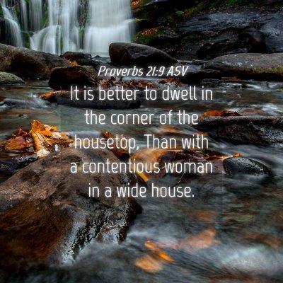 Picture 04 - Proverbs 21:9 ASV - It is better to dwell in the corner of the - Bible Verse Picture