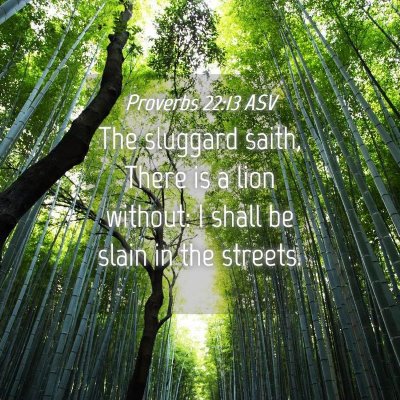Picture 04 - Proverbs 22:13 ASV - The sluggard saith, There is a lion without: I - Bible Verse Picture