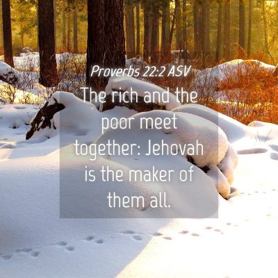Picture 04 - Proverbs 22:2 ASV - The rich and the poor meet together: Jehovah is - Bible Verse Picture