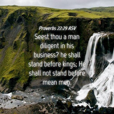 Picture 04 - Proverbs 22:29 ASV - Seest thou a man diligent in his business? he - Bible Verse Picture