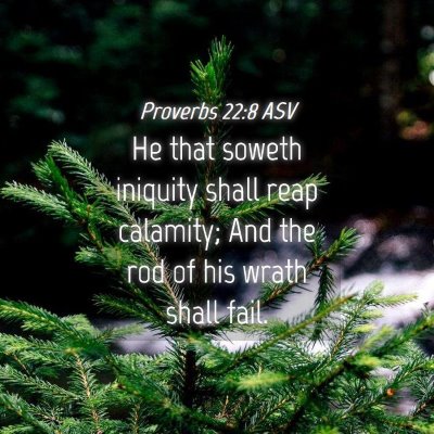 Picture 04 - Proverbs 22:8 ASV - He that soweth iniquity shall reap calamity; And - Bible Verse Picture