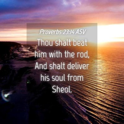 Picture 04 - Proverbs 23:14 ASV - Thou shalt beat him with the rod, And shalt - Bible Verse Picture