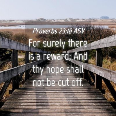 Picture 04 - Proverbs 23:18 ASV - For surely there is a reward; And thy hope shall - Bible Verse Picture
