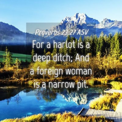 Picture 04 - Proverbs 23:27 ASV - For a harlot is a deep ditch; And a foreign woman - Bible Verse Picture