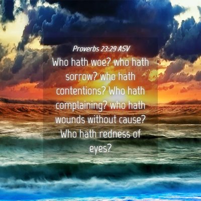 Picture 04 - Proverbs 23:29 ASV - Who hath woe? who hath sorrow? who hath - Bible Verse Picture