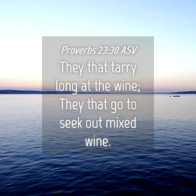 Picture 04 - Proverbs 23:30 ASV - They that tarry long at the wine; They that go to - Bible Verse Picture