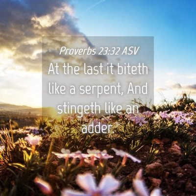 Picture 04 - Proverbs 23:32 ASV - At the last it biteth like a serpent, And - Bible Verse Picture