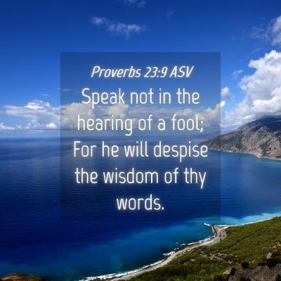 Picture 04 - Proverbs 23:9 ASV - Speak not in the hearing of a fool; For he will - Bible Verse Picture