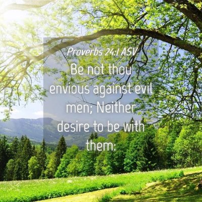 Picture 04 - Proverbs 24:1 ASV - Be not thou envious against evil men; Neither - Bible Verse Picture