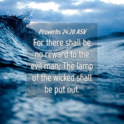 Picture 04 - Proverbs 24:20 ASV - For there shall be no reward to the evil man; The - Bible Verse Picture