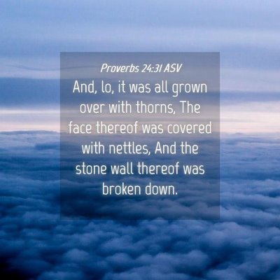 Picture 04 - Proverbs 24:31 ASV - And, lo, it was all grown over with thorns, The - Bible Verse Picture